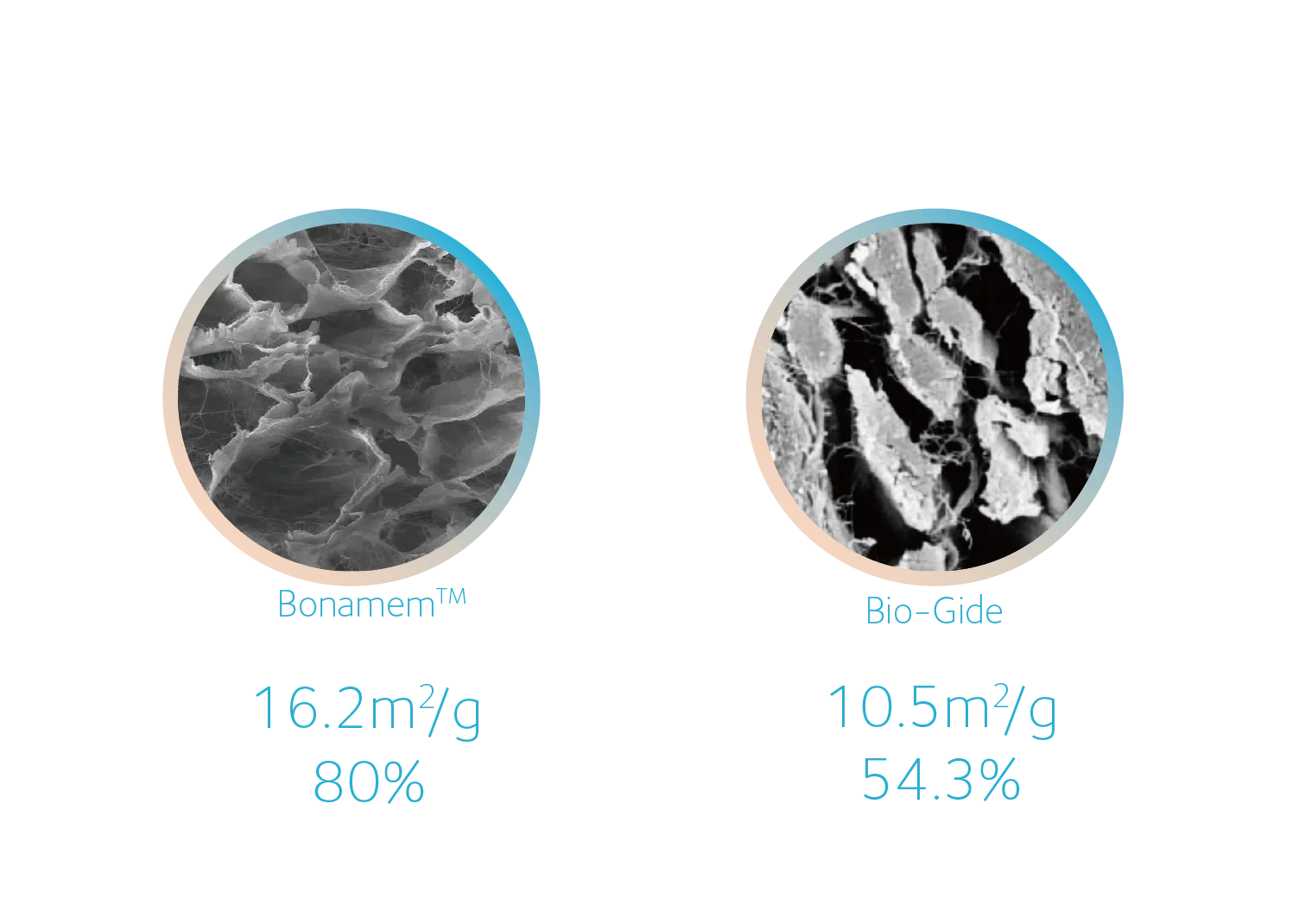 BellaOss™ membrane product view 2